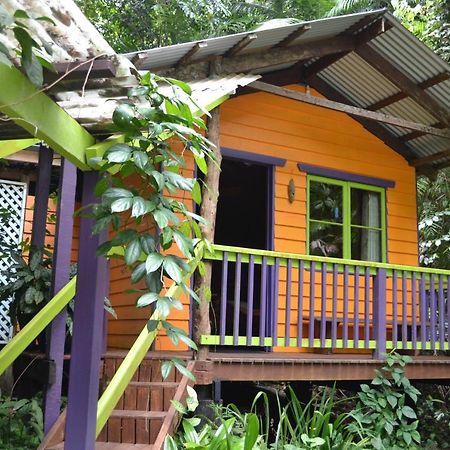 Rainforest Hideaway Cape Tribulation Extérieur photo