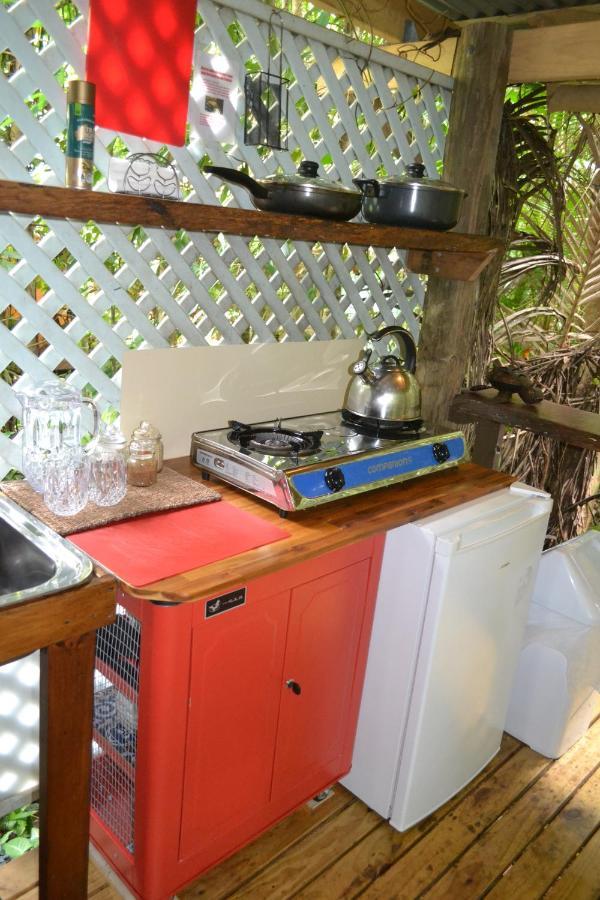 Rainforest Hideaway Cape Tribulation Extérieur photo