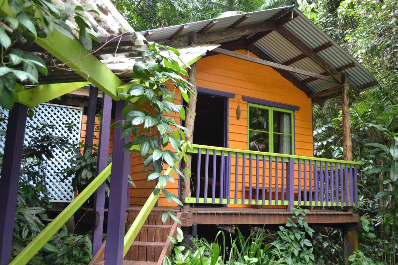 Rainforest Hideaway Cape Tribulation Extérieur photo