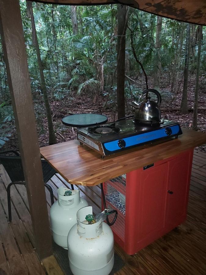 Rainforest Hideaway Cape Tribulation Extérieur photo