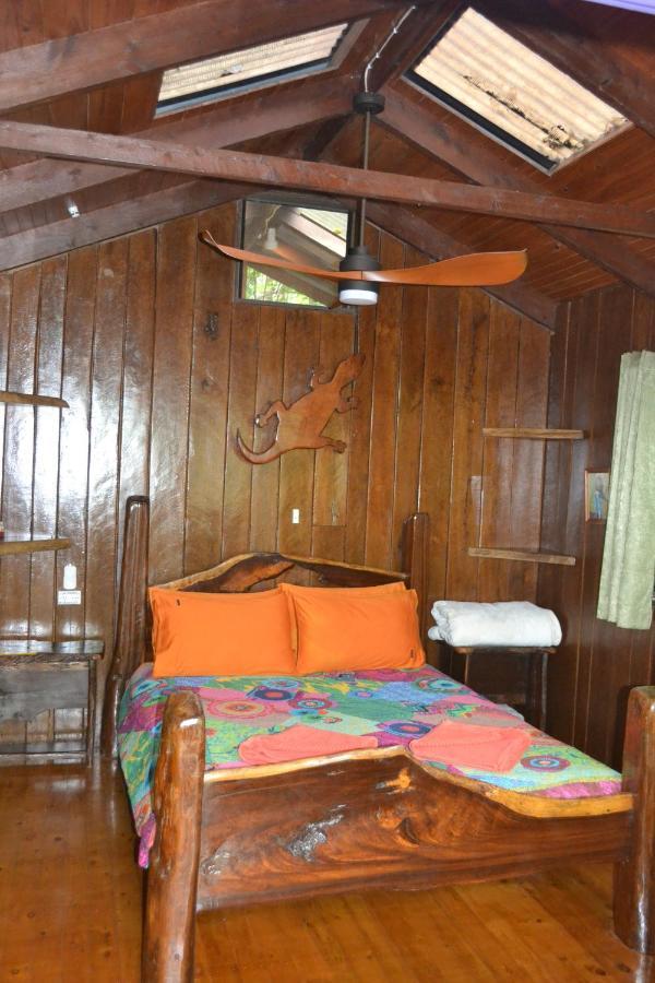 Rainforest Hideaway Cape Tribulation Extérieur photo