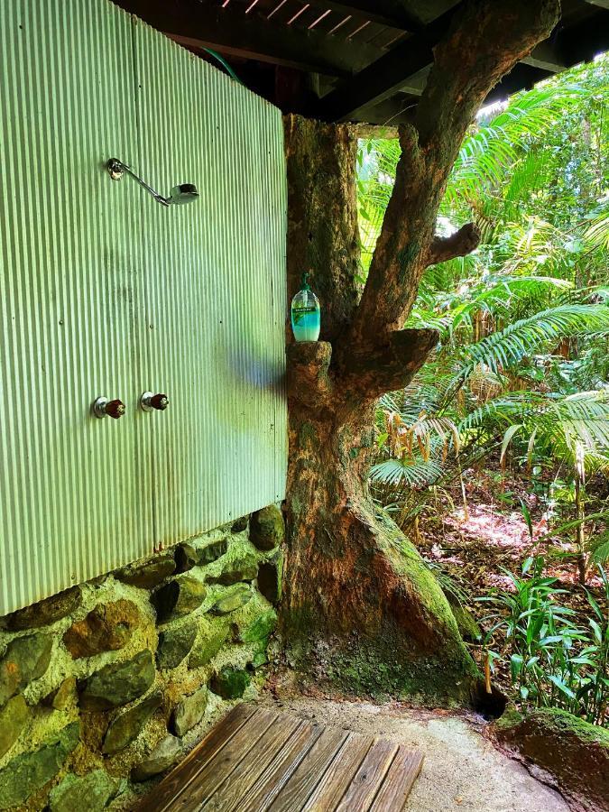 Rainforest Hideaway Cape Tribulation Extérieur photo