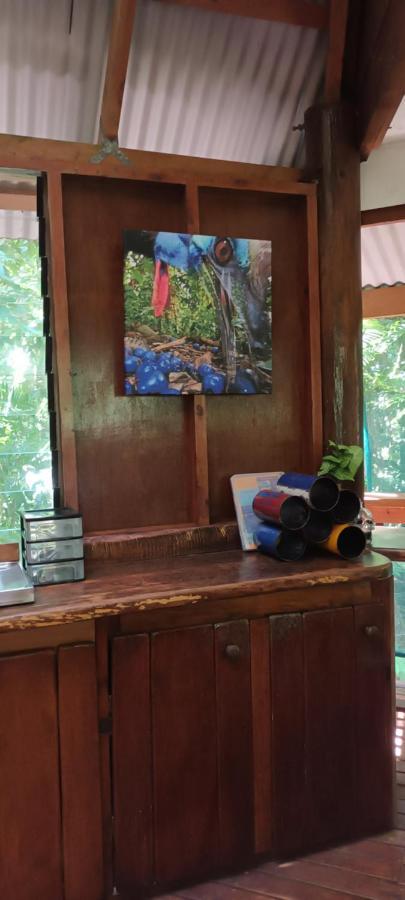 Rainforest Hideaway Cape Tribulation Extérieur photo
