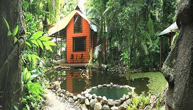 Rainforest Hideaway Cape Tribulation Chambre photo