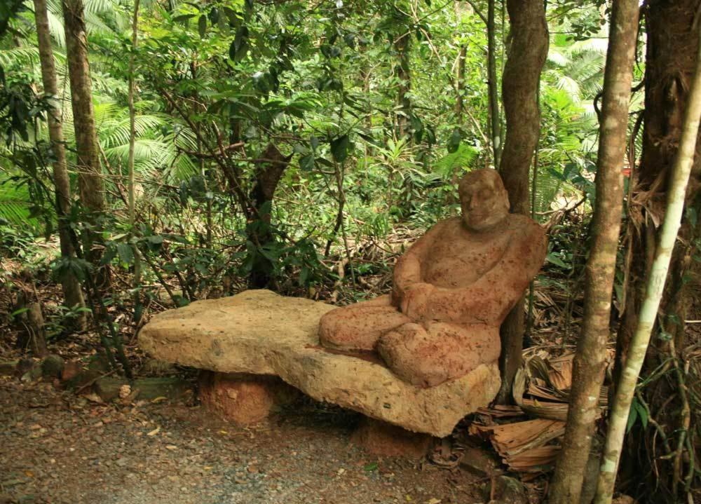 Rainforest Hideaway Cape Tribulation Extérieur photo