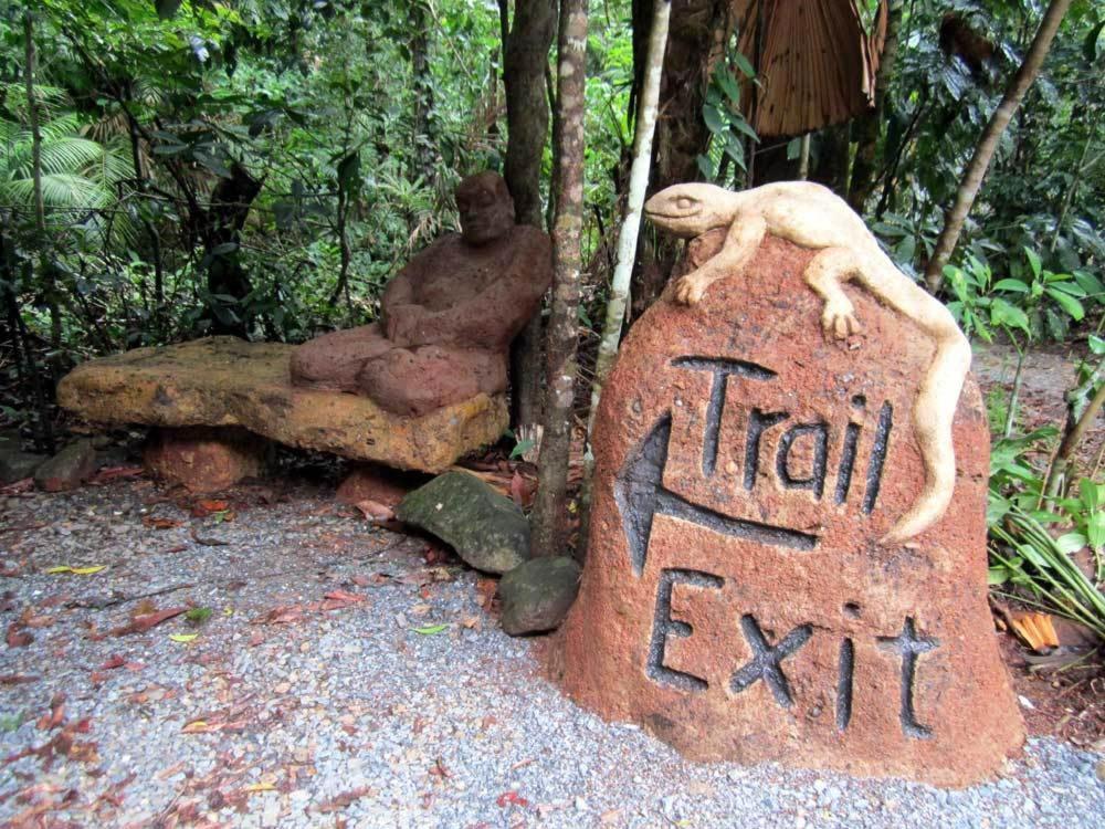 Rainforest Hideaway Cape Tribulation Extérieur photo