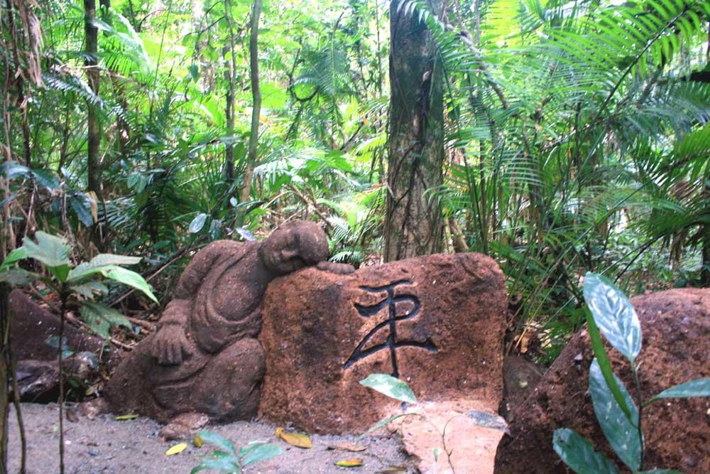Rainforest Hideaway Cape Tribulation Extérieur photo