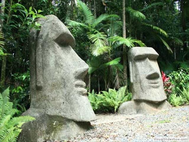 Rainforest Hideaway Cape Tribulation Extérieur photo
